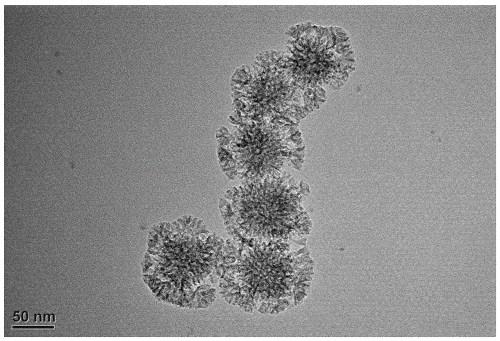 Multilevel porous/mesoporous organic silicon ball and preparation method thereof