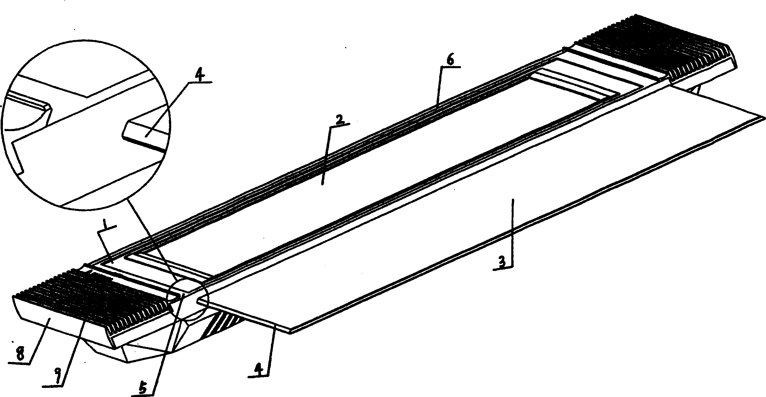 Display screen protective device