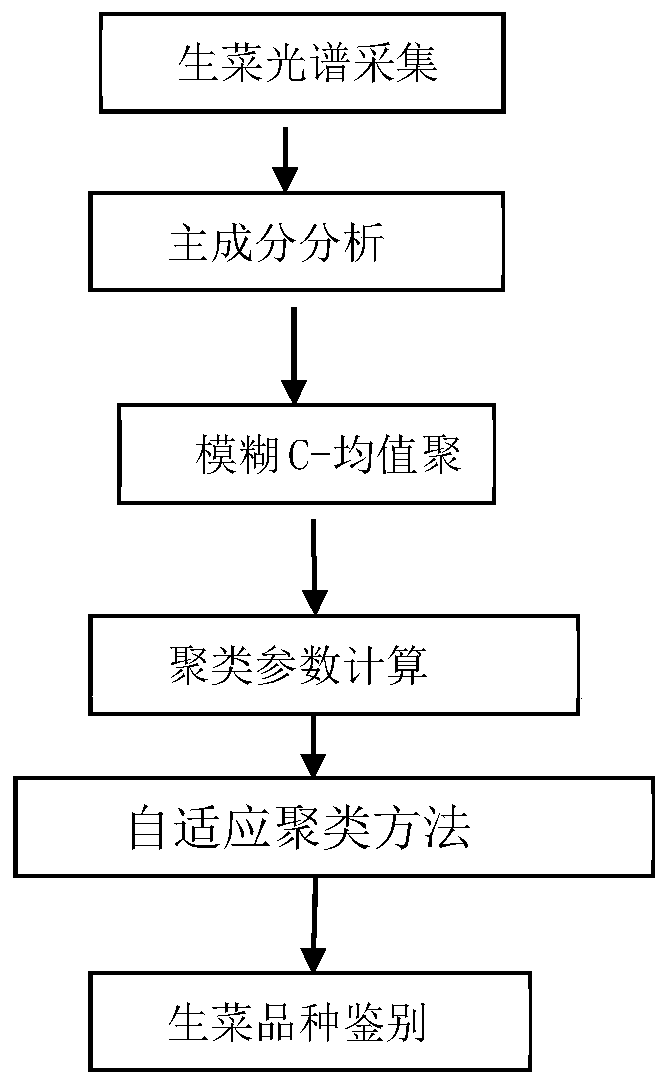 Adaptive clustering lettuce variety identification method