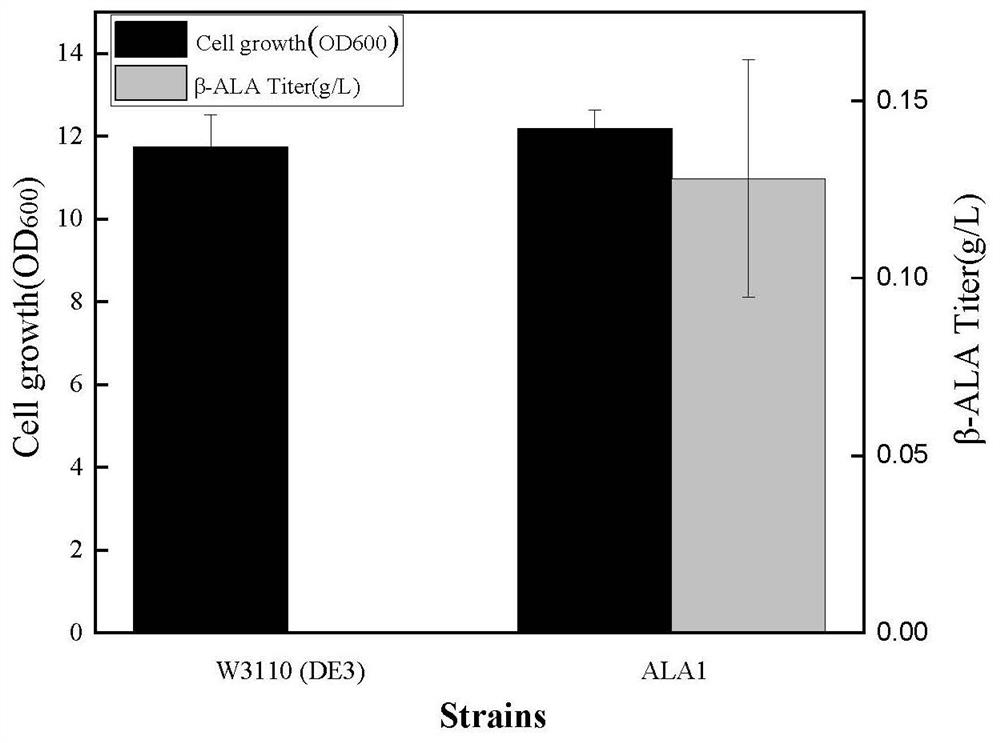 Genetically engineered bacterium for high producing beta-alanine and co-culture preparation of D-pantothenic acid