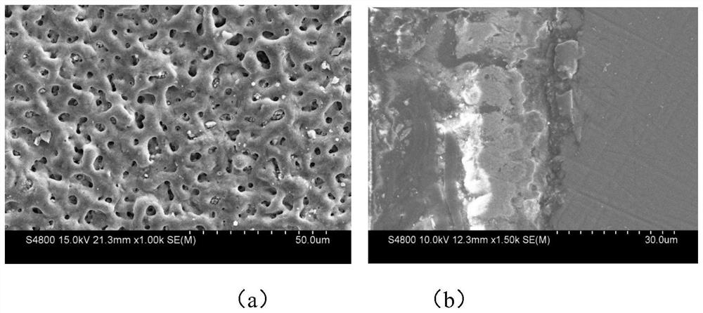 ZrO2/MgO wear-resistant film layer on magnesium alloy and preparation method thereof