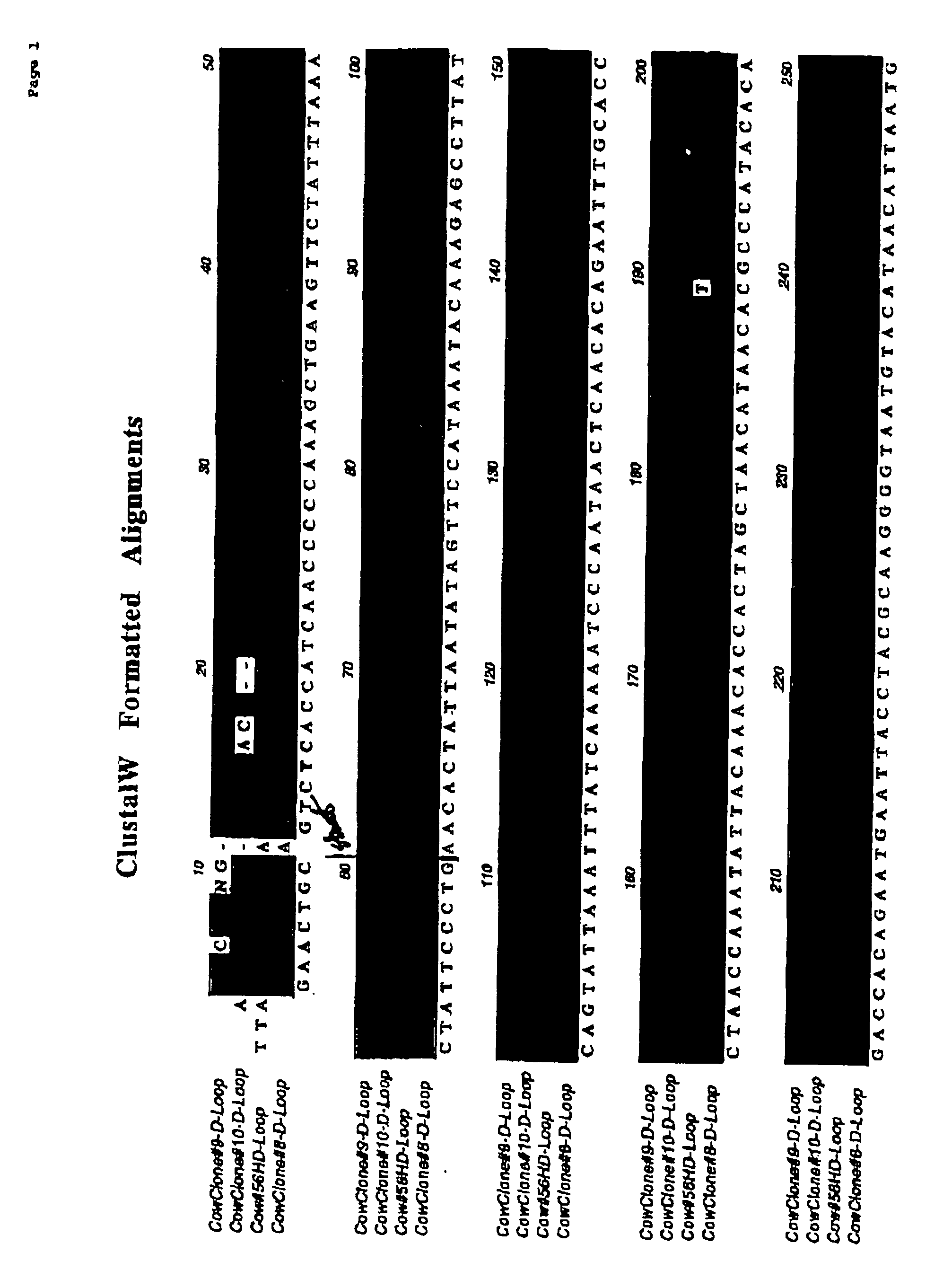Method for generating immune-compatible cells and tissues using nuclear transfer techniques