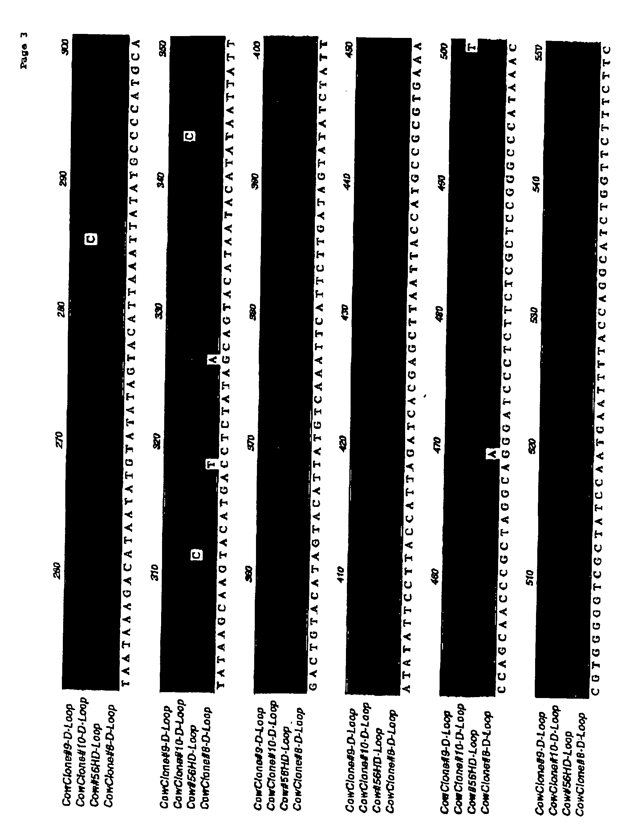 Method for generating immune-compatible cells and tissues using nuclear transfer techniques