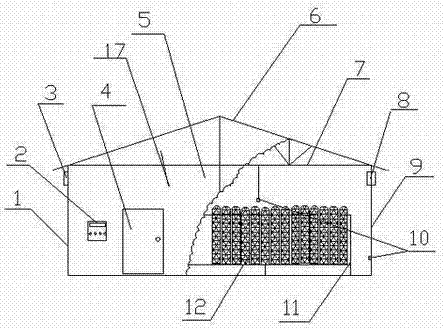 Heat absorption and moisture preservation type Qianliang tea eurotium cristatum growing and drying room and application thereof