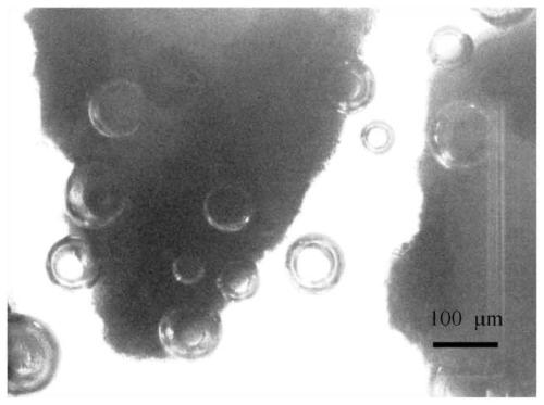 Micro-nano bubble releasing material for repairing natural water body and preparation method thereof