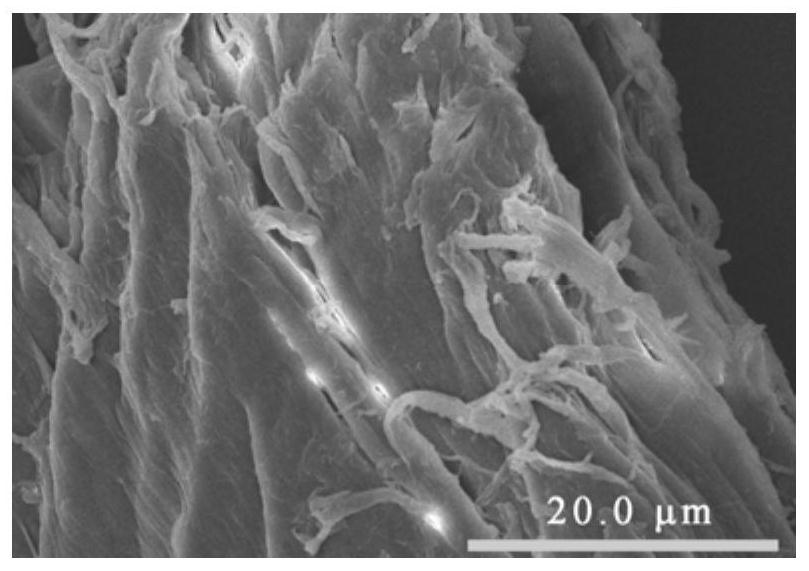 A kind of nano chitin material and its preparation method and application