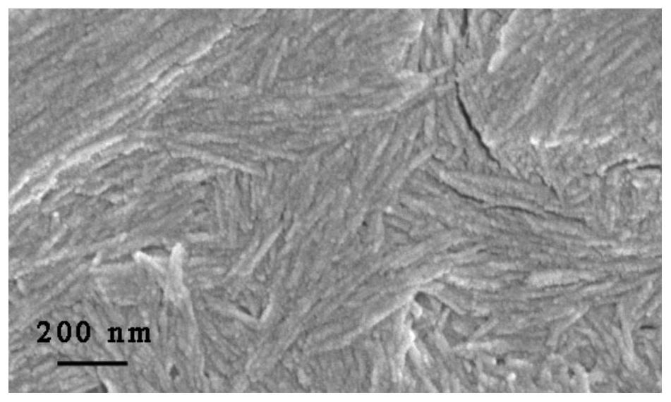 A kind of nano chitin material and its preparation method and application