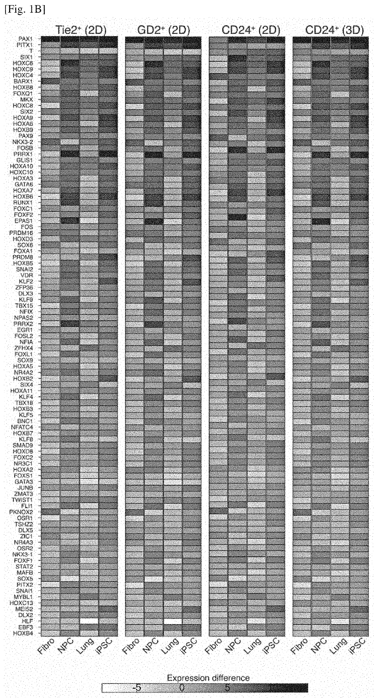 Differentiation inducer containing nucleus pulposus progenitor cell master regulator transcription factors, method for producing induced nucleus pulposus progenitor cells, and use of induced nucleus pulposus progenitor cells