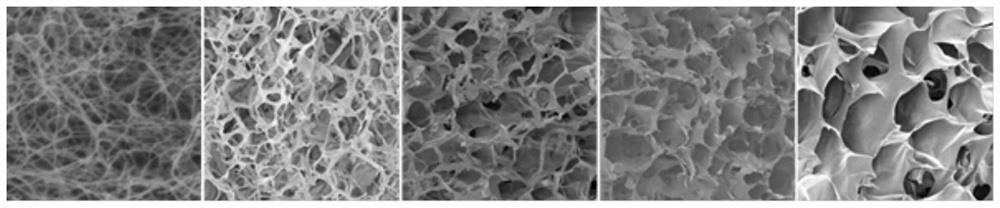 A preparation method of biomimetic collagen-based material for actively guiding tissue regeneration and repair