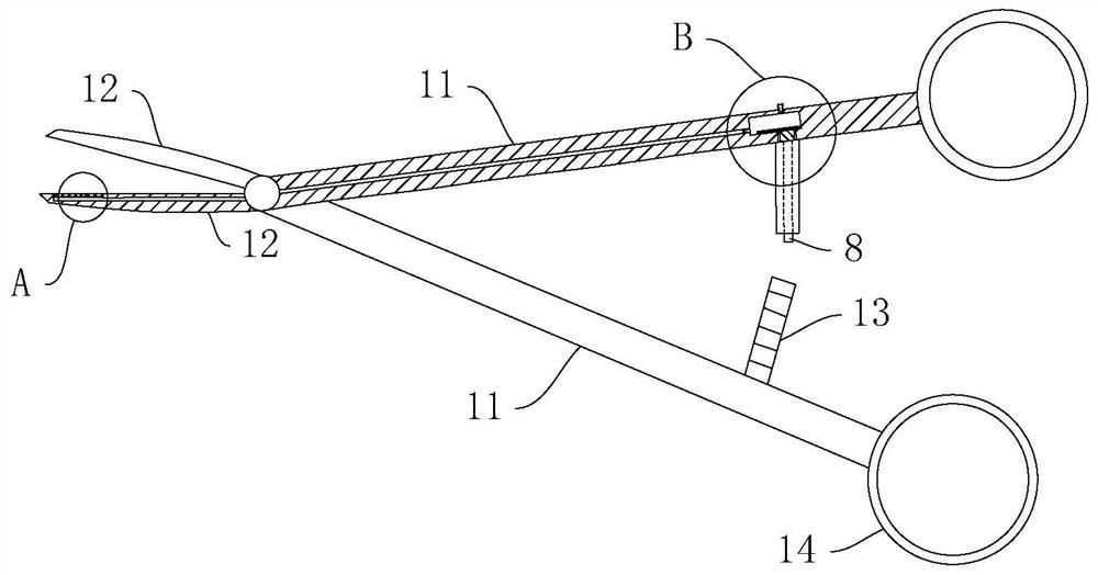 A kind of rapid disinfection hemostatic forceps