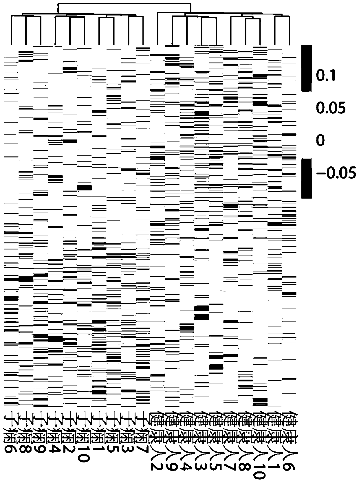 Prediction model for early accurate detection of preeclampsia