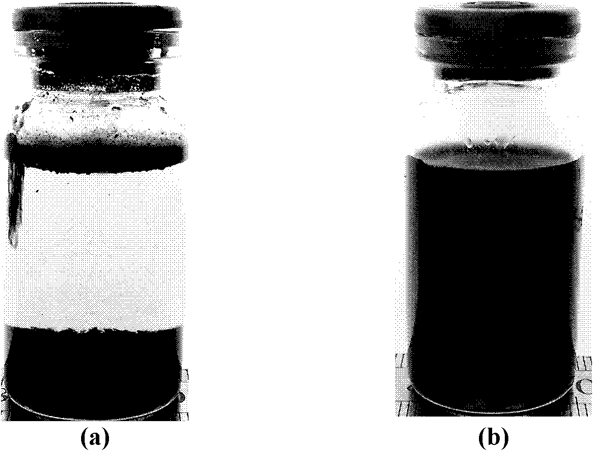 Poly N-vinyl-gamma-PVSA modified water-soluble carbon nano tube and preparation method thereof