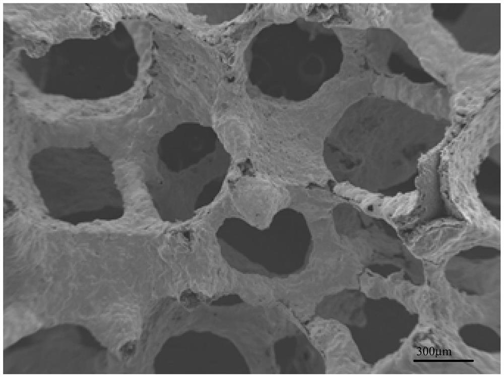 Novel coating medical porous zinc material and preparation method thereof