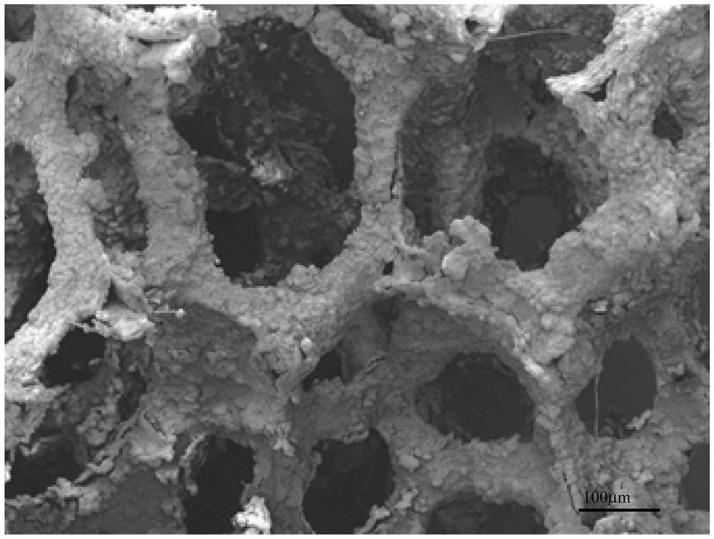 Novel coating medical porous zinc material and preparation method thereof