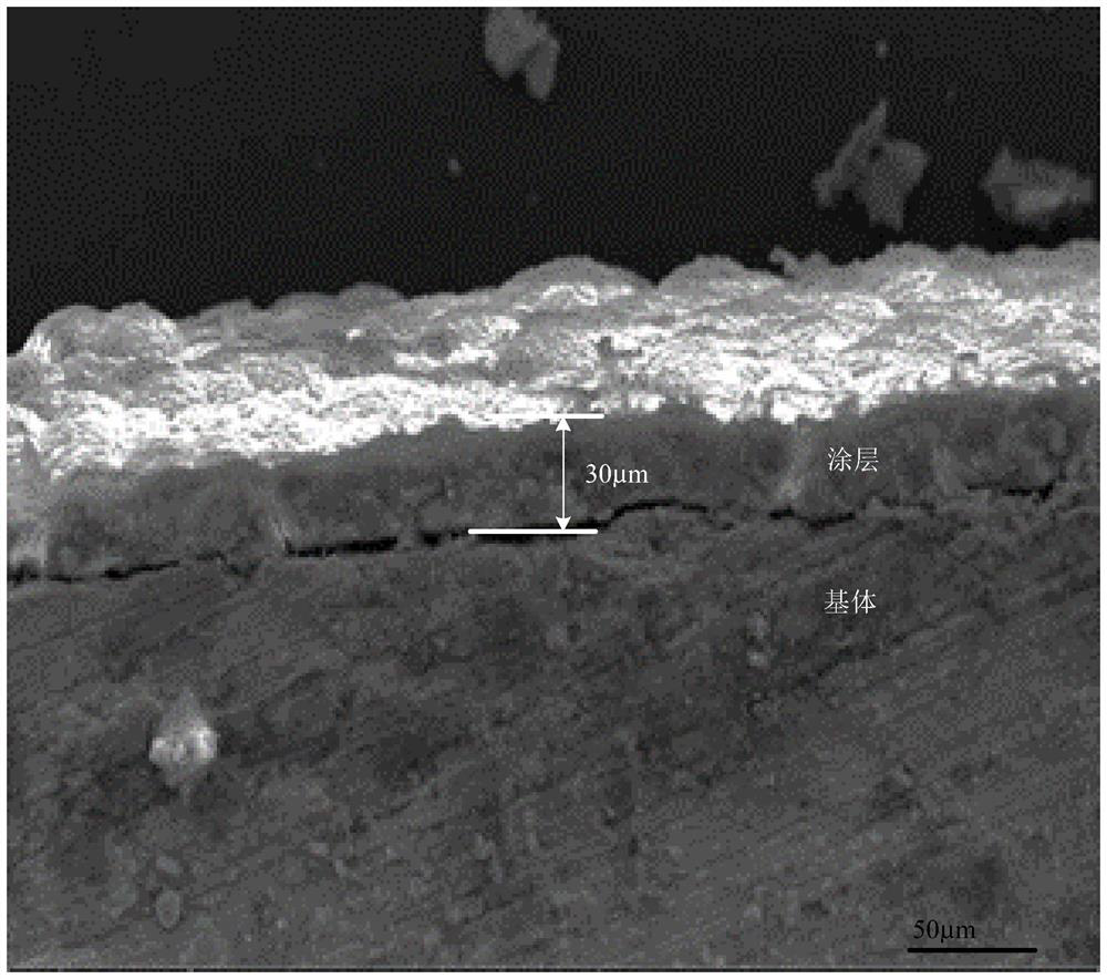 Novel coating medical porous zinc material and preparation method thereof