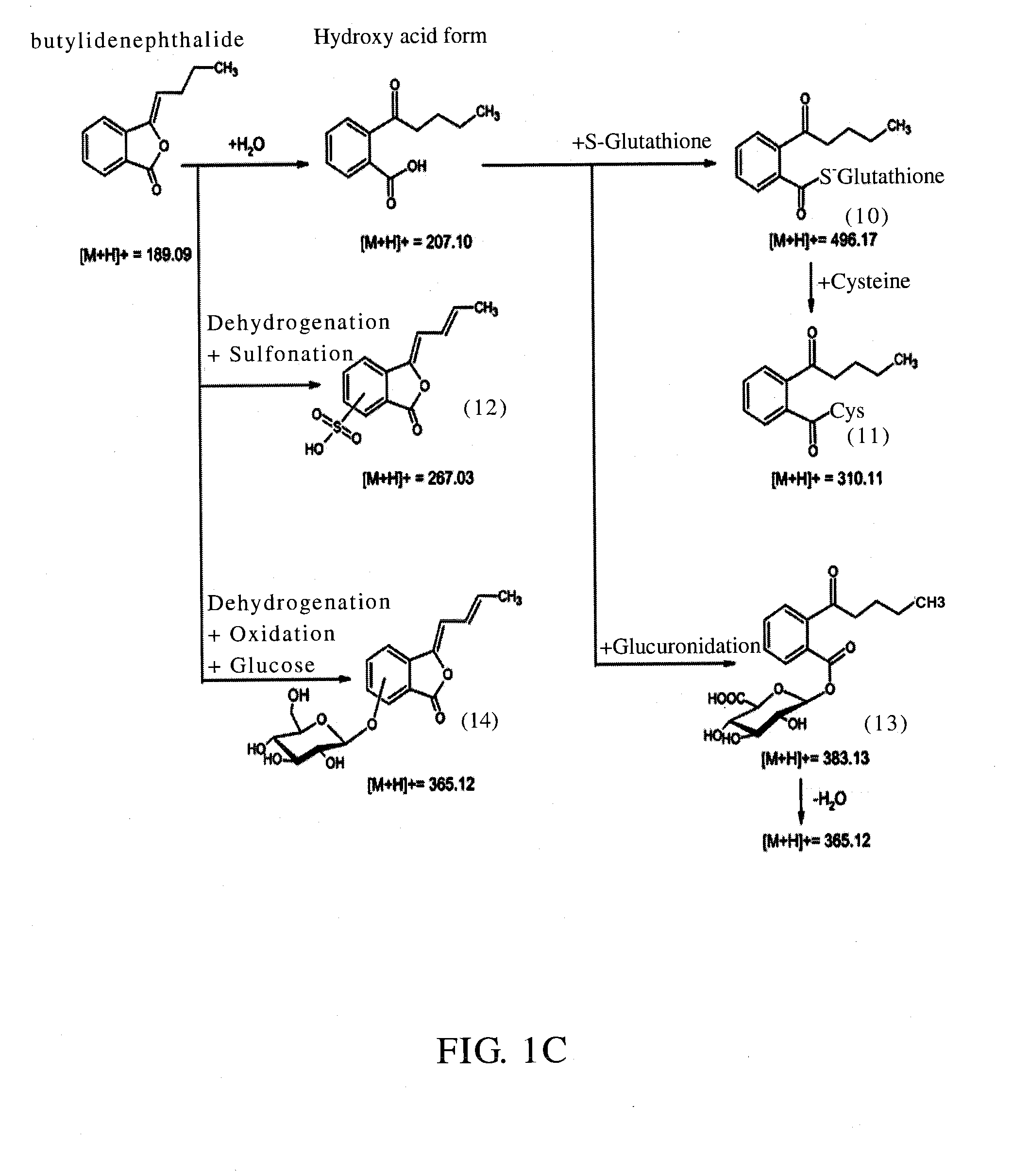 Method for inhibiting autophagy of motor neurons