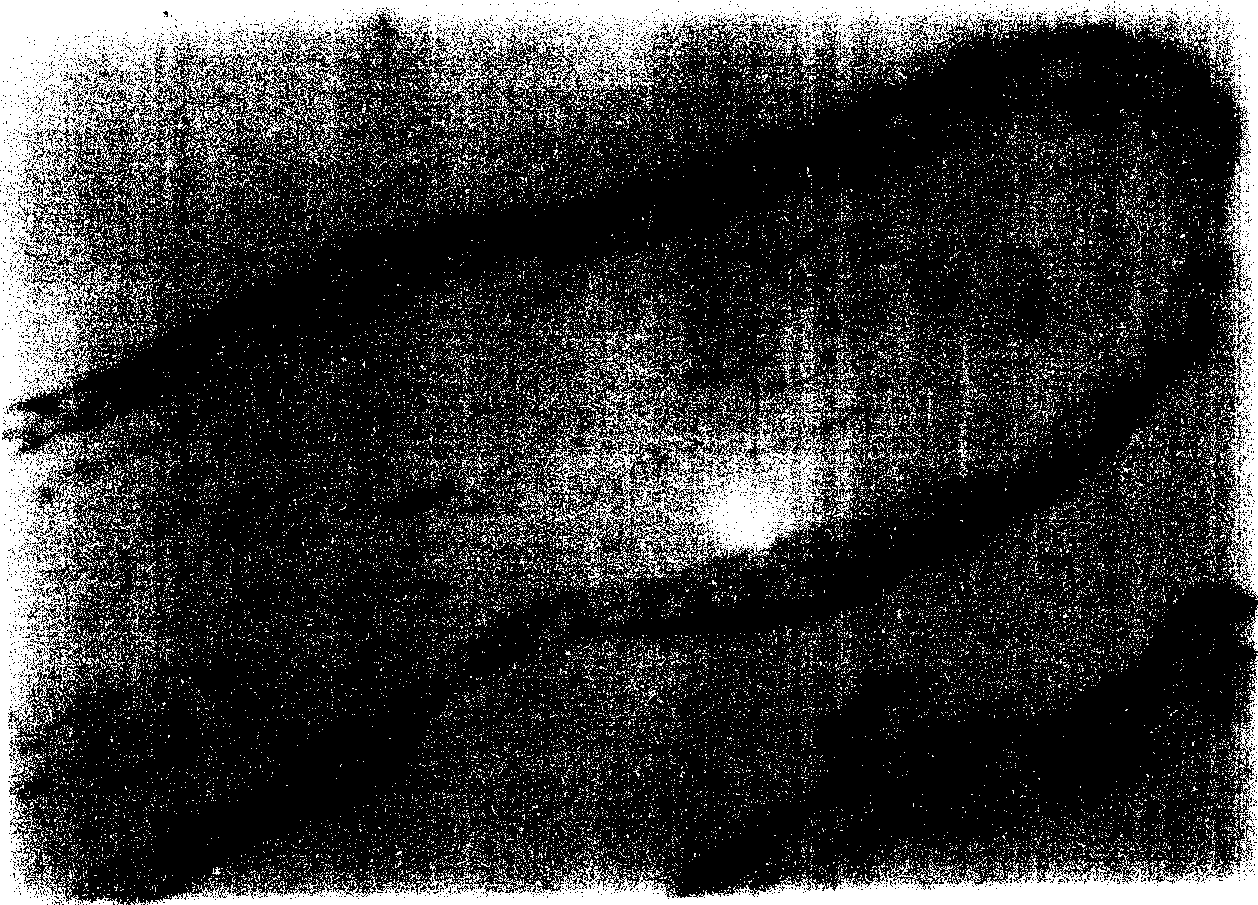 European verbena herb extract, and preparing process and use thereof