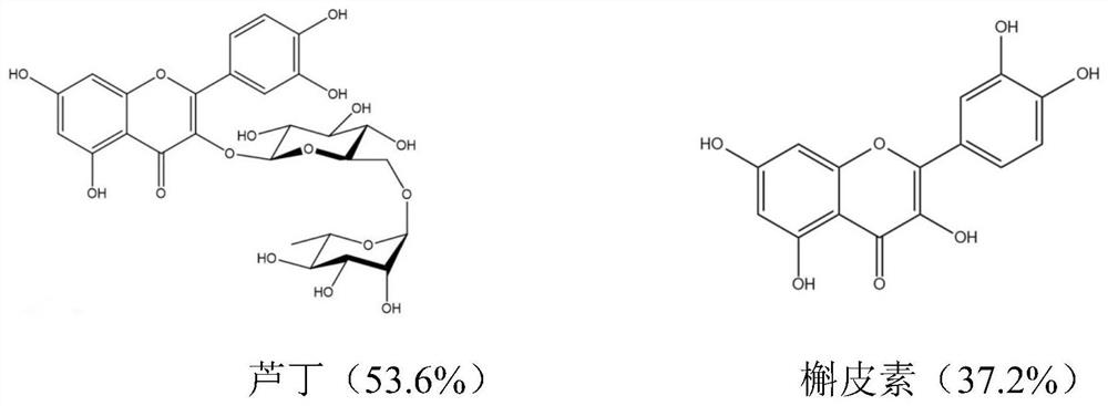 Experimental method for treating mastitis disease by using fagopyrine extract