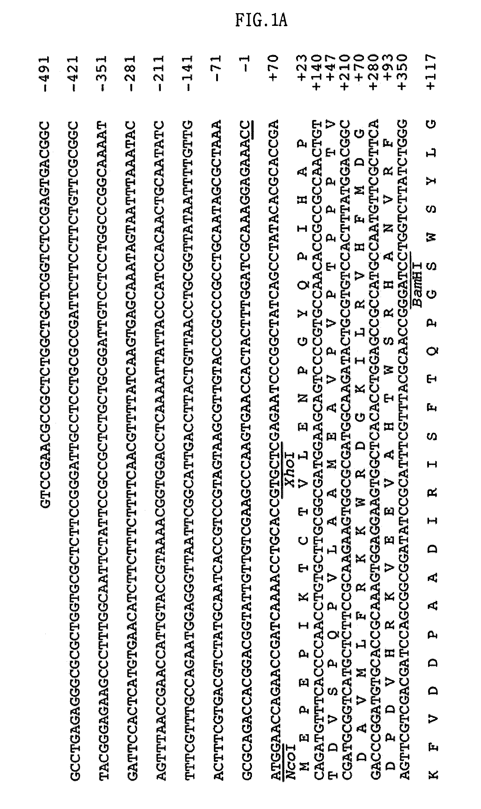 Fibrionolytic metalloprotease and composition comprising the same