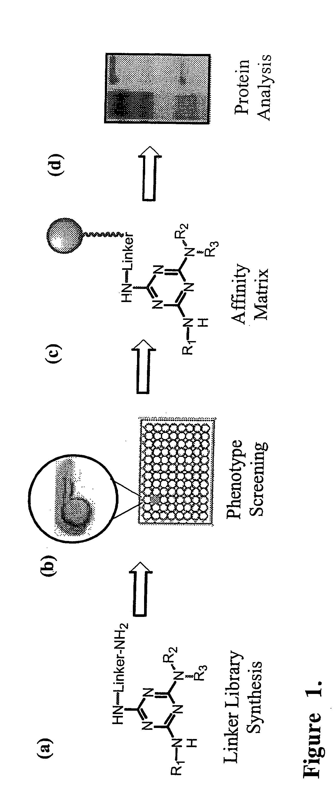 Facilitated forward chemical genetics using tagged triazine library