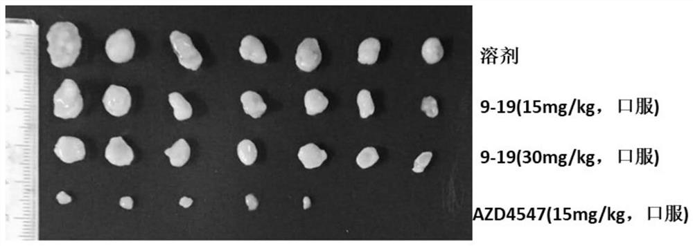 Aminopyrimido pyrazole/pyrrole derivatives and preparation method and application thereof