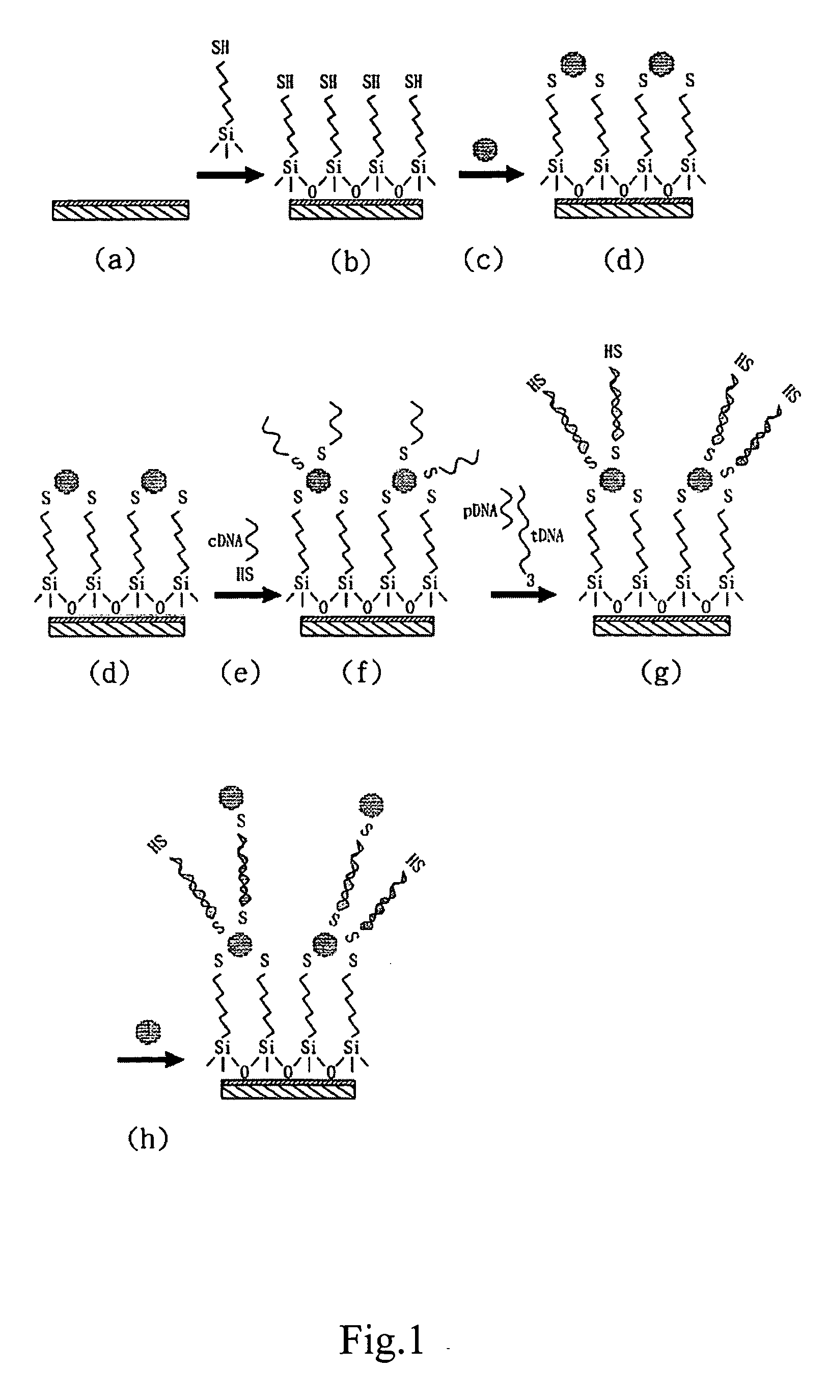 Method for electrically detecting oligo-nucleotides with nano-particles