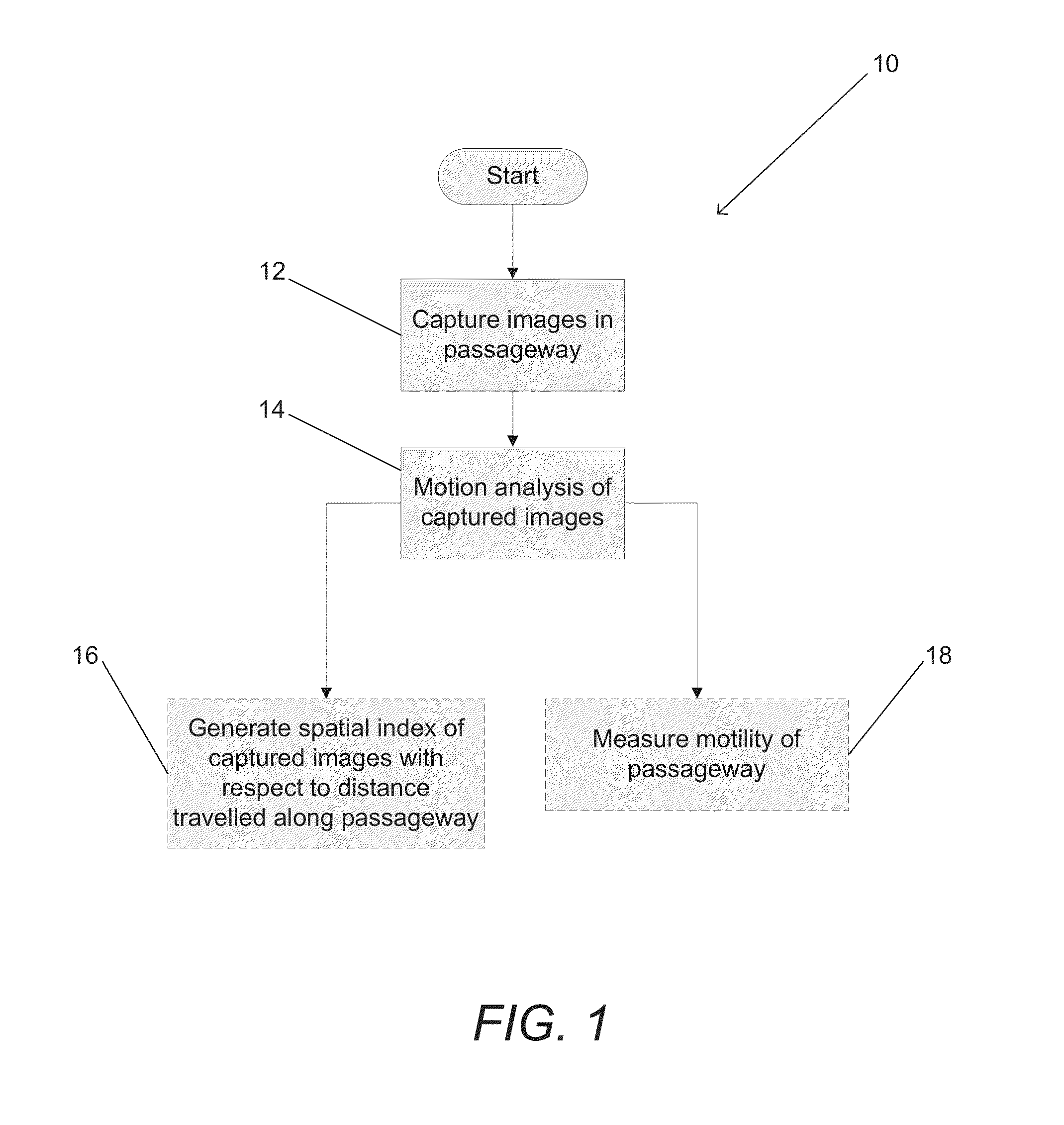 Systems and Methods for Motion and Distance Measurement in Gastrointestinal Endoscopy
