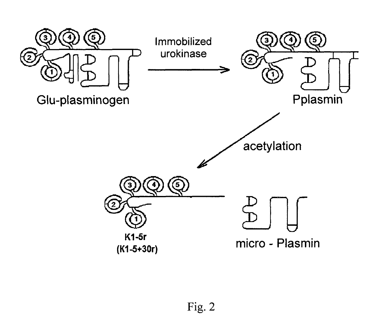 Method of detection of proteolysis products in plasma and a diagnostic system for its application