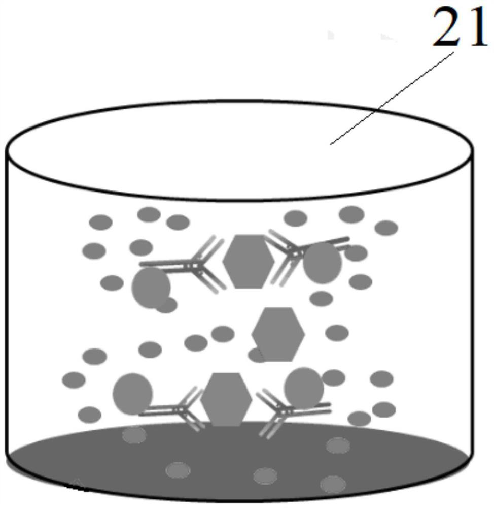 Kit based on nano plasma resonance molecules and test method