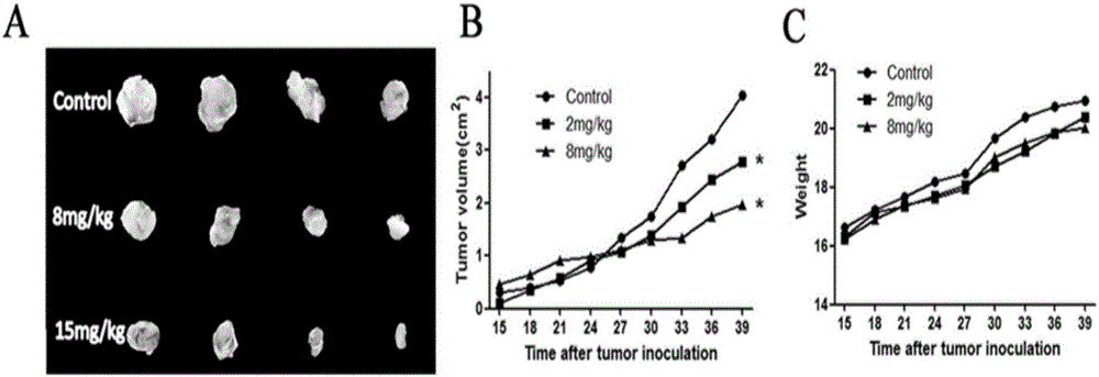 Application of parthenolide in preparation of lung cancer treating drug