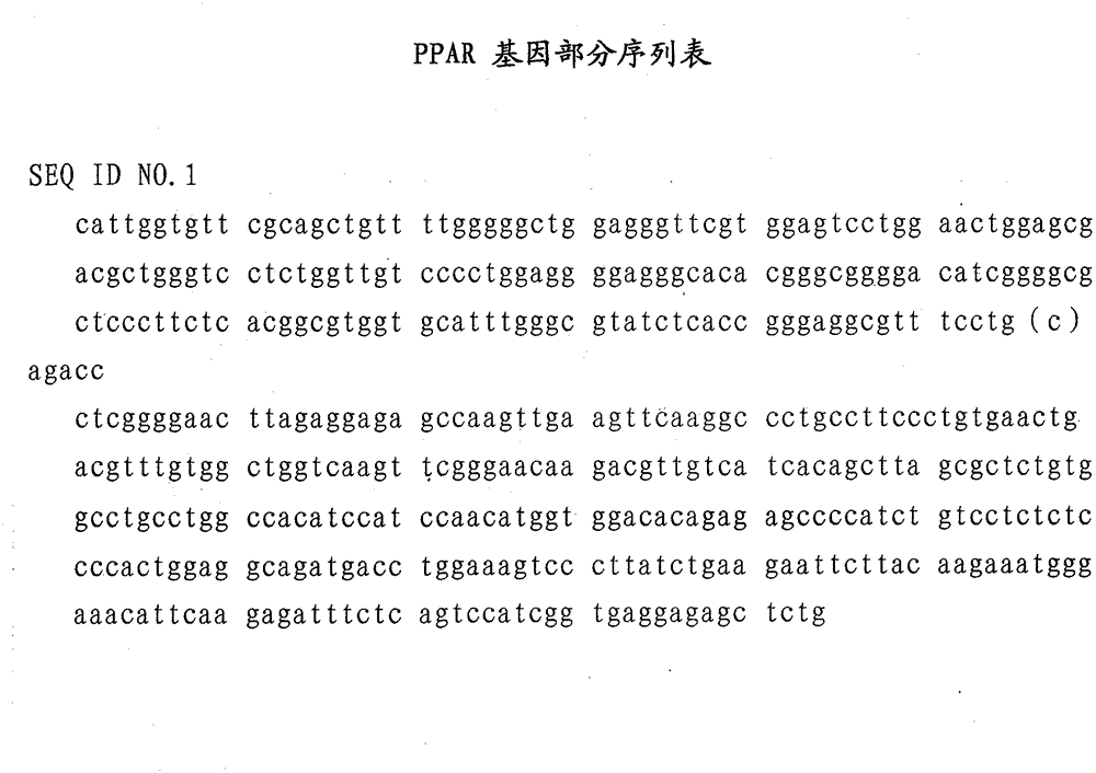 PPAR (Peroxisome Proliferator Activated Receptor) alpha gene and method of applying PPAR alpha gene as goose fatty deposition related genetic marker