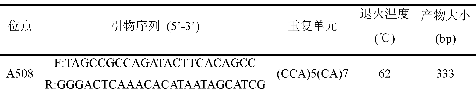 Scylla paramamosain microsatellite DNA marker and screening method thereof