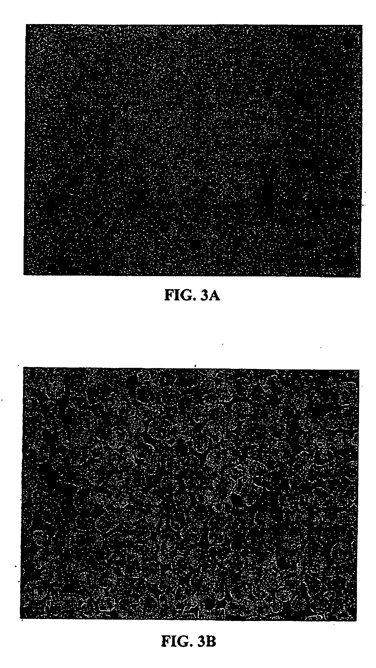 Oral dosage form comprising an antimisuse system