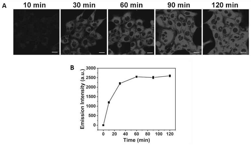 Single-photon up-conversion pentamethine cyanine photosensitive dye as well as preparation method and application thereof