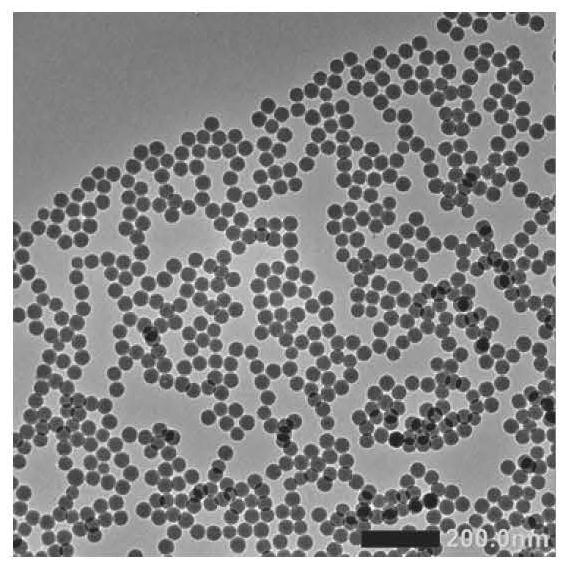 Nano artificial antibody with broad-spectrum antiviral effect and preparation method thereof