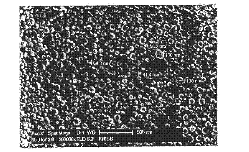 Adjuvant composition comprising (poly-gamma-glutamate)-chitosan nanoparticles