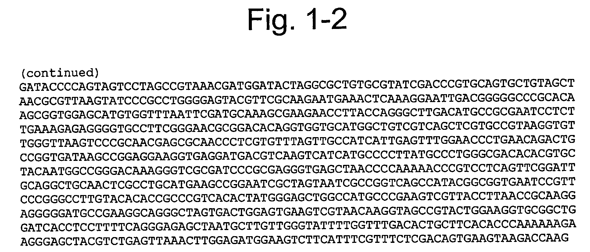 Method of plastid transformation in asteraceae, vector for use therein and plants thus obtained