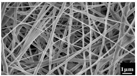 Sandwich micro-nano fiber composite membrane loaded with microorganisms and its preparation method and application