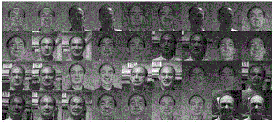 Face identification method on basis of duplex multi-kernel discriminant analysis of color features