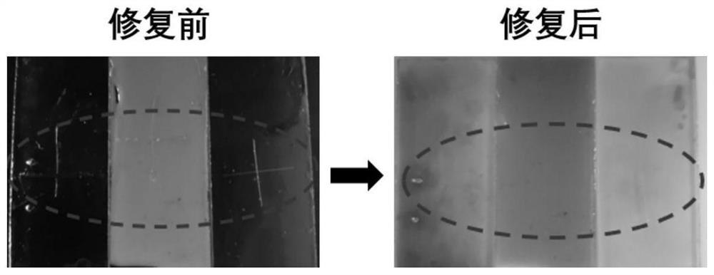 A kind of underwater self-healing organosilicon antifouling coating and preparation method thereof