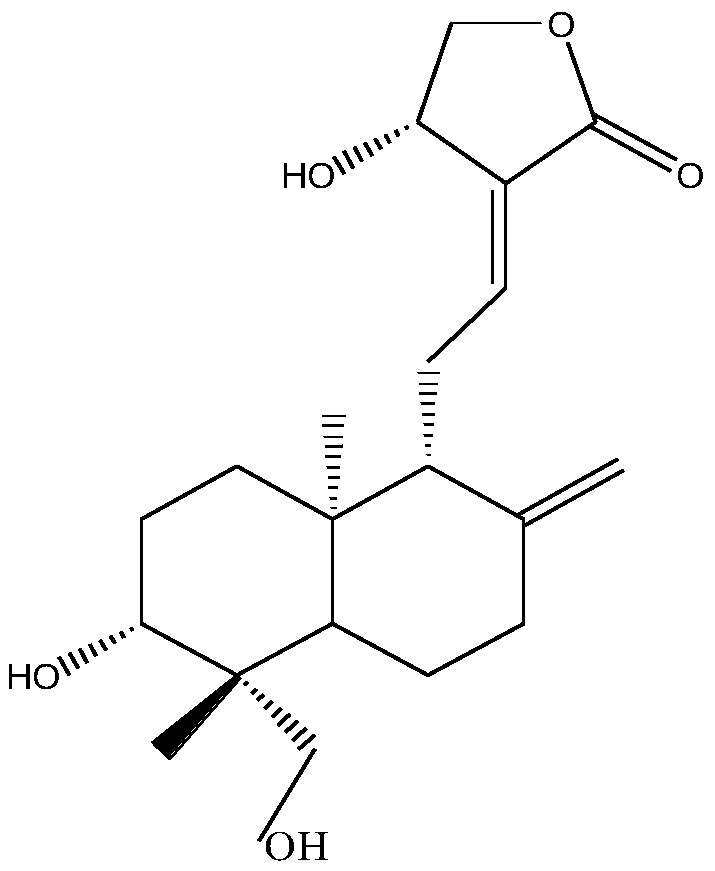 Application of andrographolide in preparation of accelerator for promoting reverse cholesterol transport