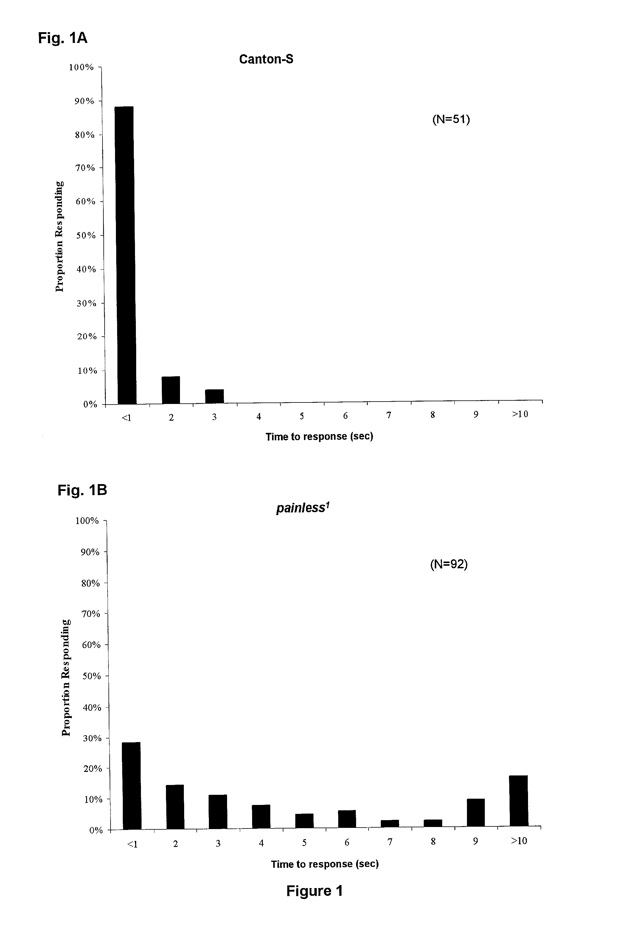 Methods and compositions associated with nociceptive pain