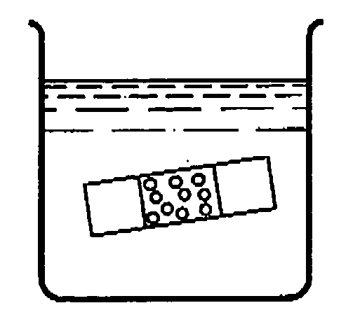 Dual function prosthetic bone implant and method for preparing the same