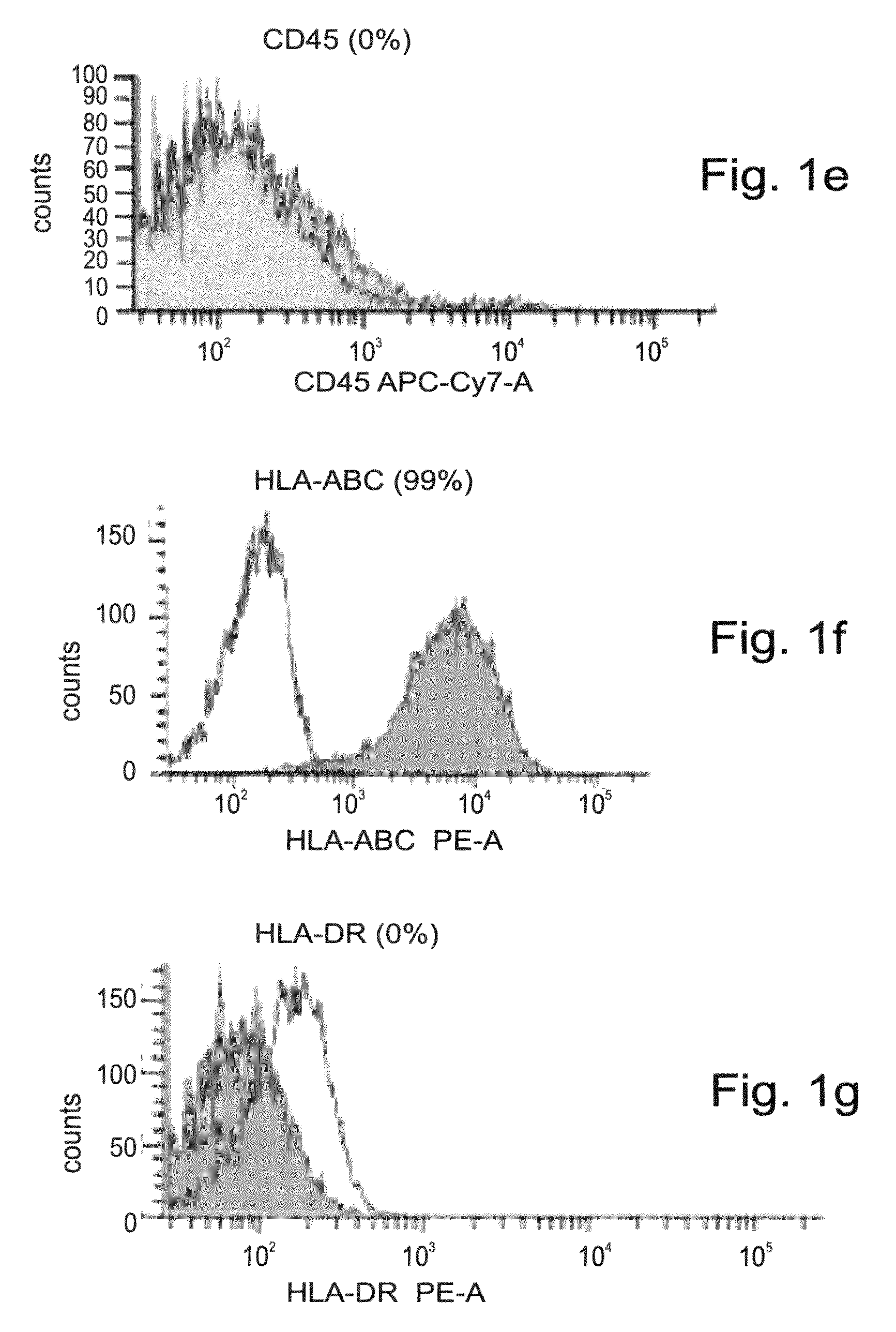 Adult Stem Cell-Derived Connective Tissue Progenitors for Tissue Engineering