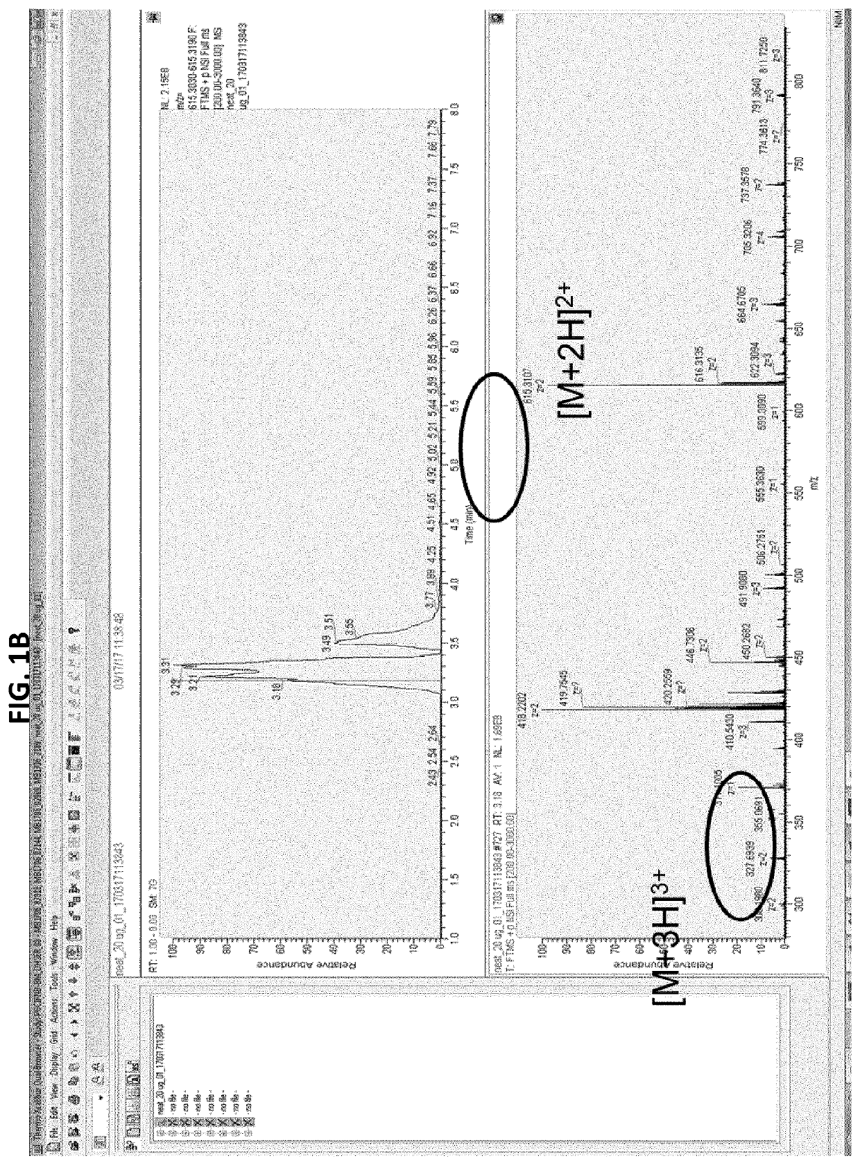 Antibody quantification in biological samples