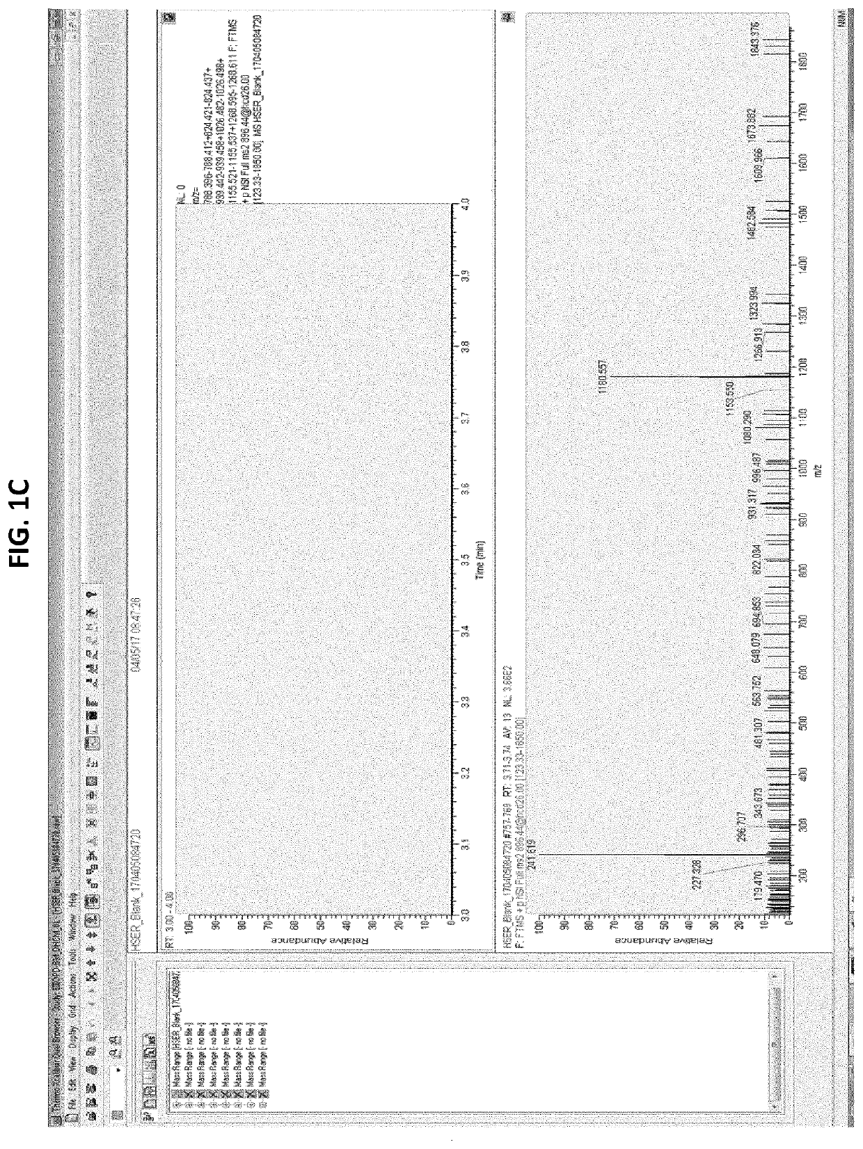 Antibody quantification in biological samples