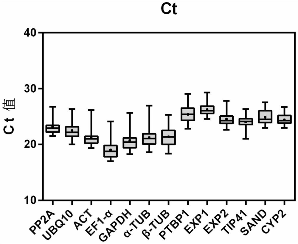 The internal reference gene of coral dish and its screening method and application