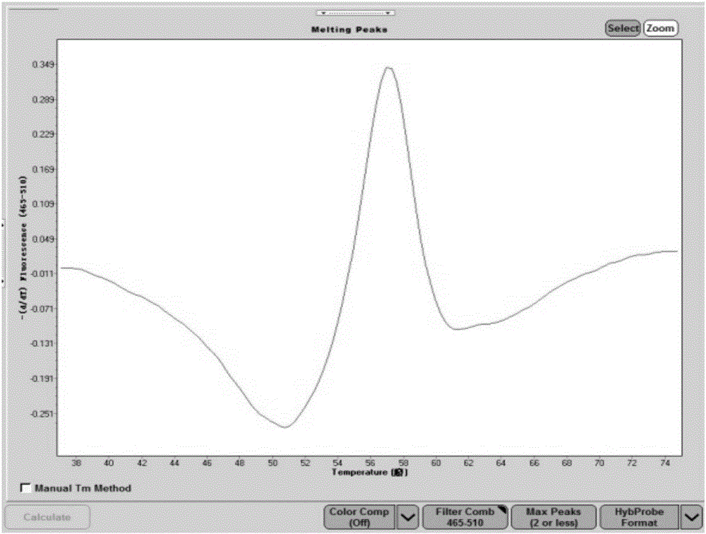 Real-time isothermal amplification-based kit for human papilloma virus E6/E7 gene detection, and application thereof