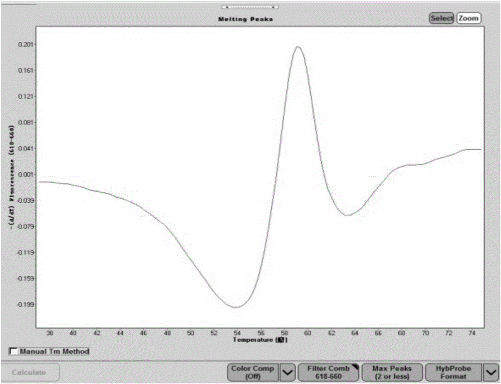 Real-time isothermal amplification-based kit for human papilloma virus E6/E7 gene detection, and application thereof