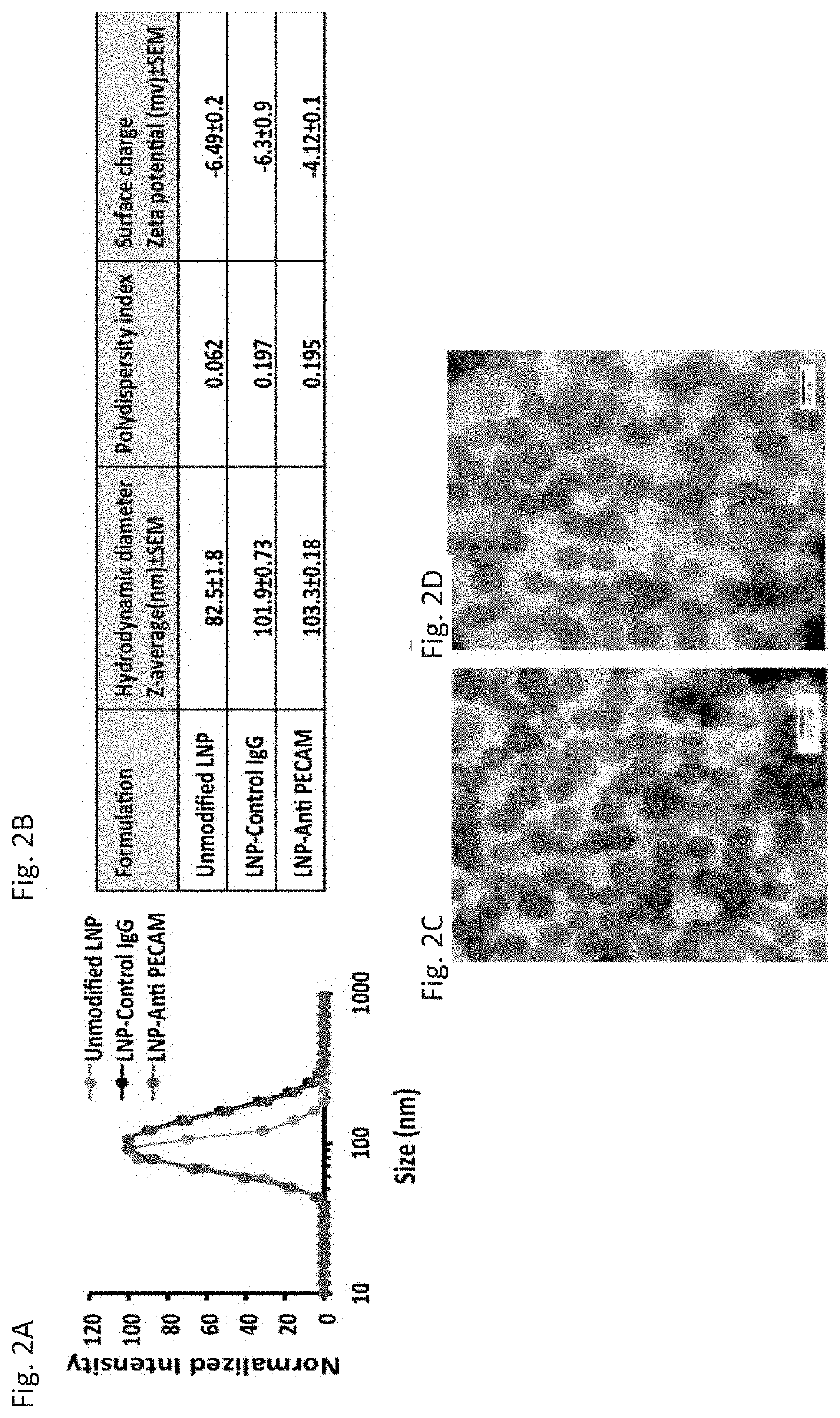 Therapeutic Targeting of Lipid Nanoparticles